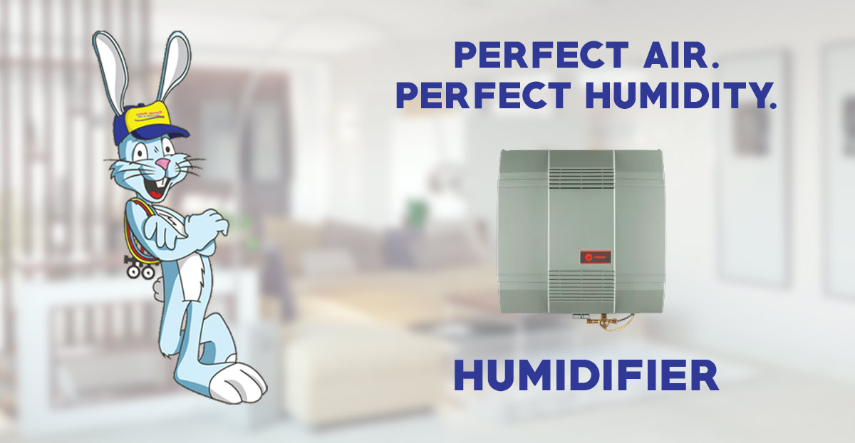 Humidifier providing perfect air and humidity.