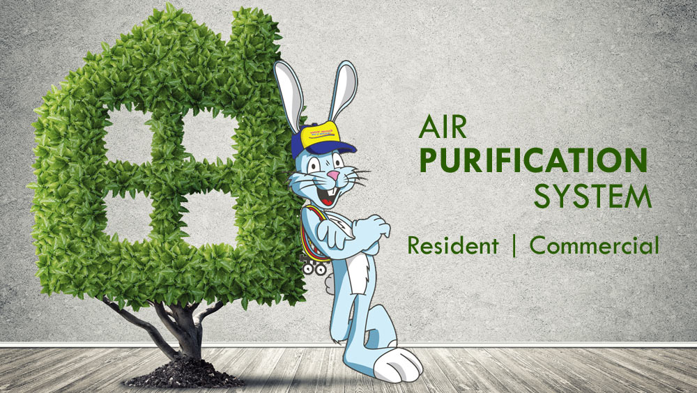 Air Purifier Services